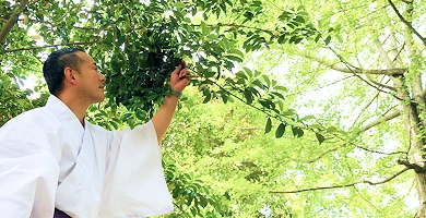 神道療法の御祈祷の風景