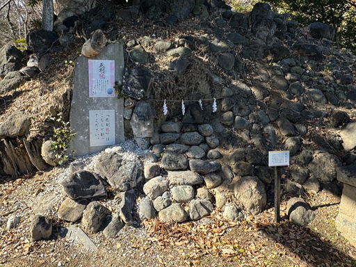 厄割桃の写真