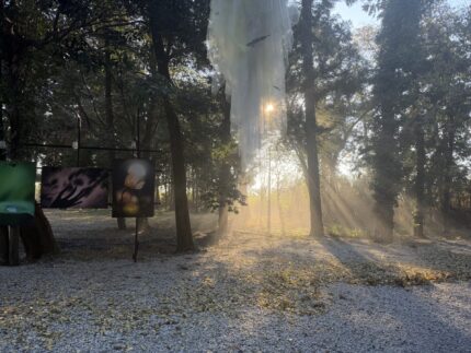 千年の森の夕日