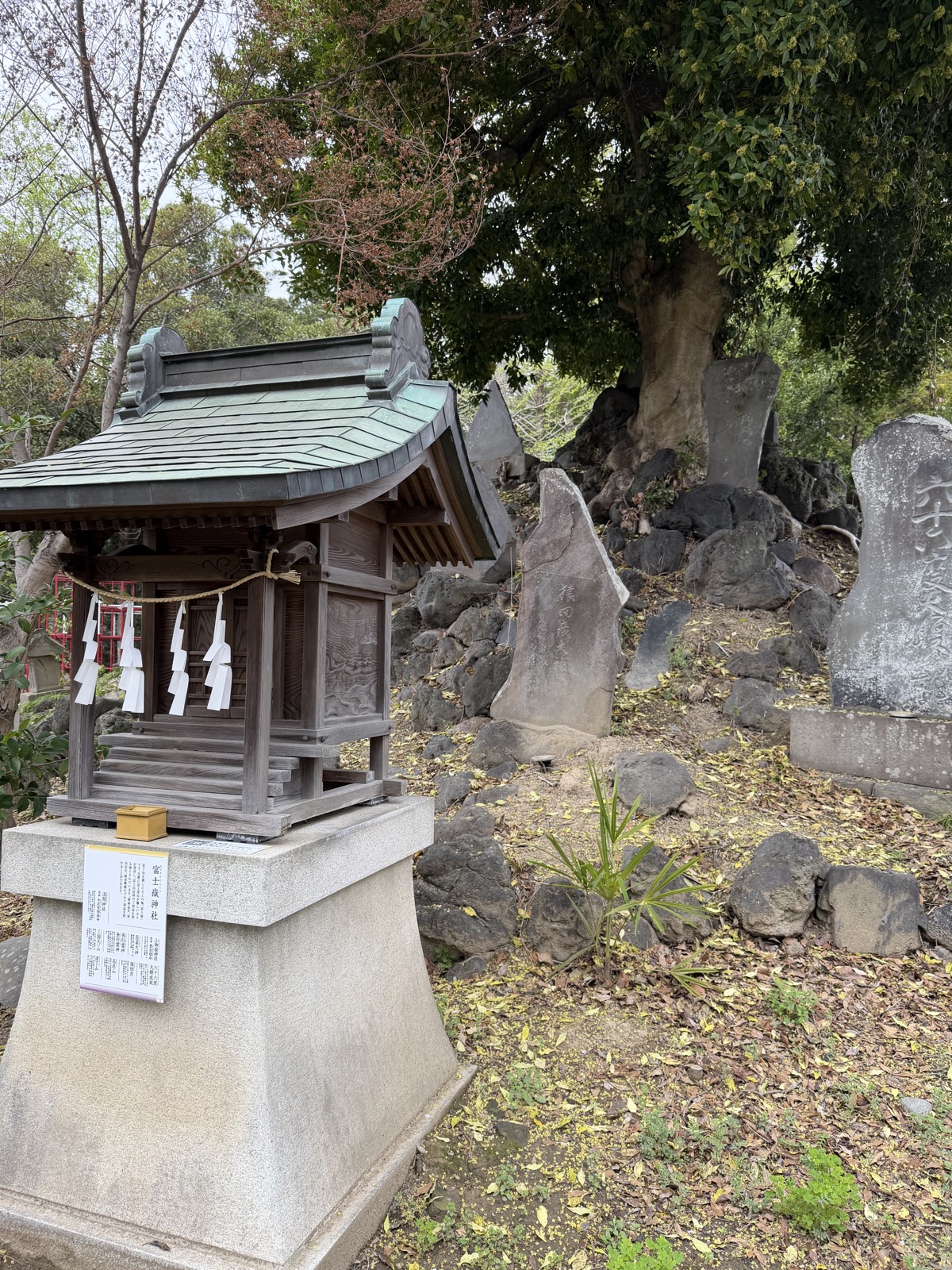 上之雷電神社 境内の富士塚に鎮座する富士嶽神社の祠と溶岩石。木花咲耶姫命をお祀りし安産の信仰を集める
